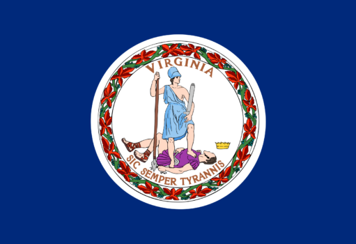 Virgina flag