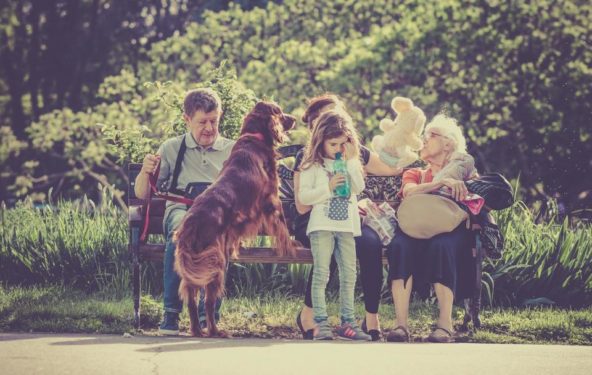 Family dog kids grandparents bench outside